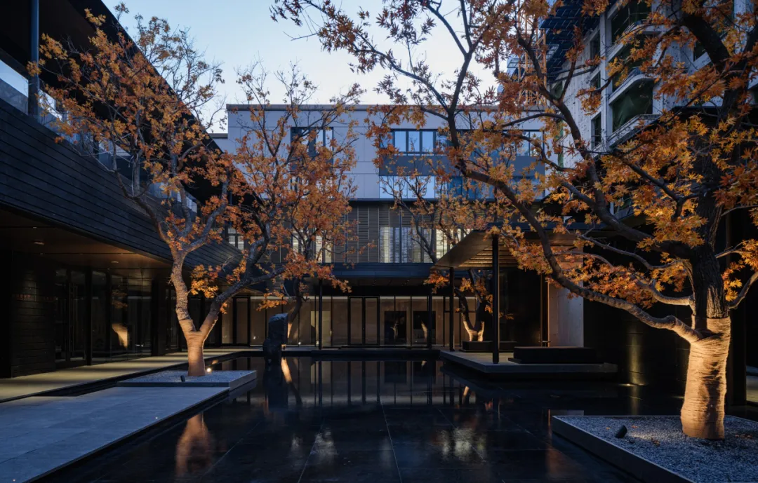 1735206944943595.jpg 1735206789705.jpg