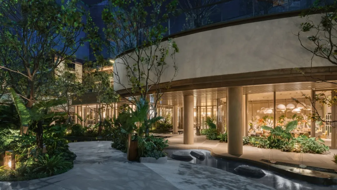 1735266950154925.jpg 1735266935297.jpg