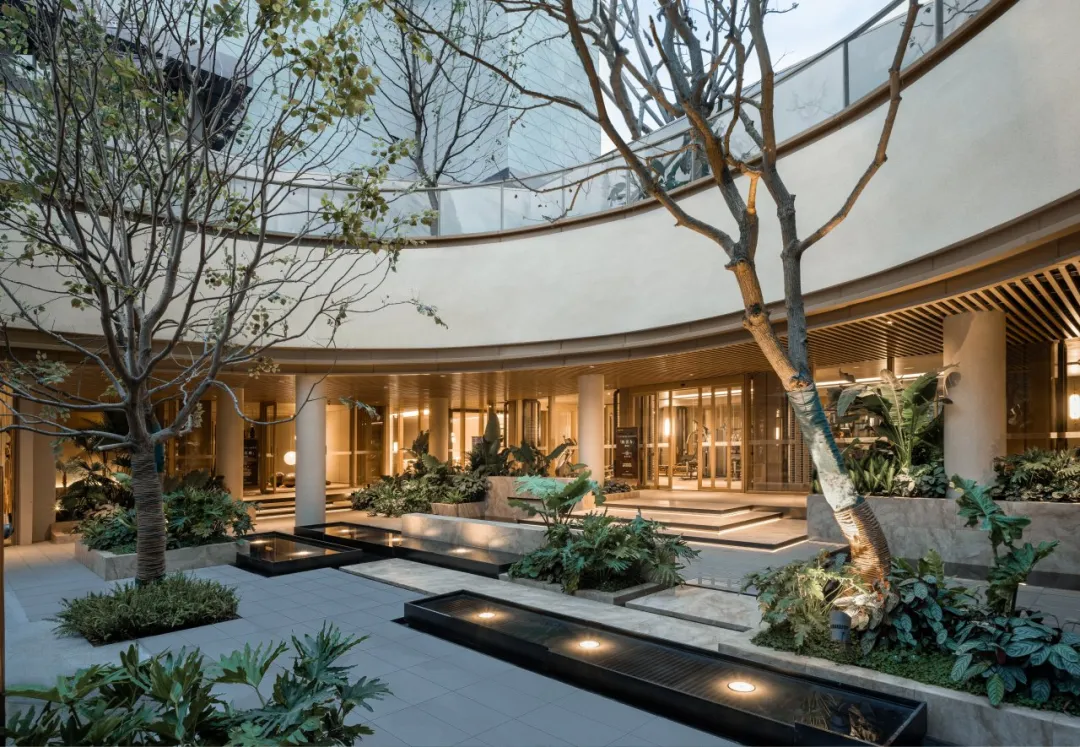 1735266989183925.jpg 1735266958771.jpg