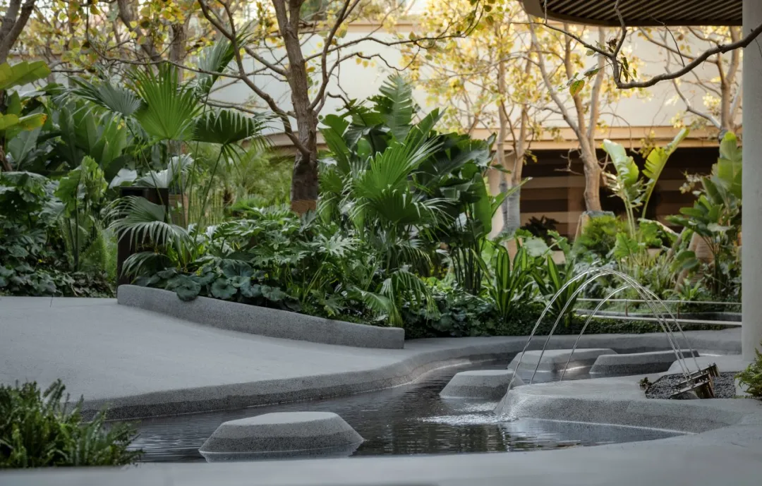 1735266997174562.jpg 1735266960685.jpg