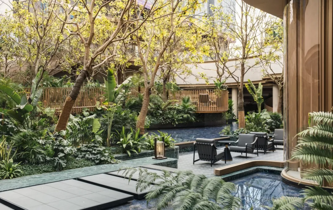 1735267067207344.jpg 1735267061823.jpg