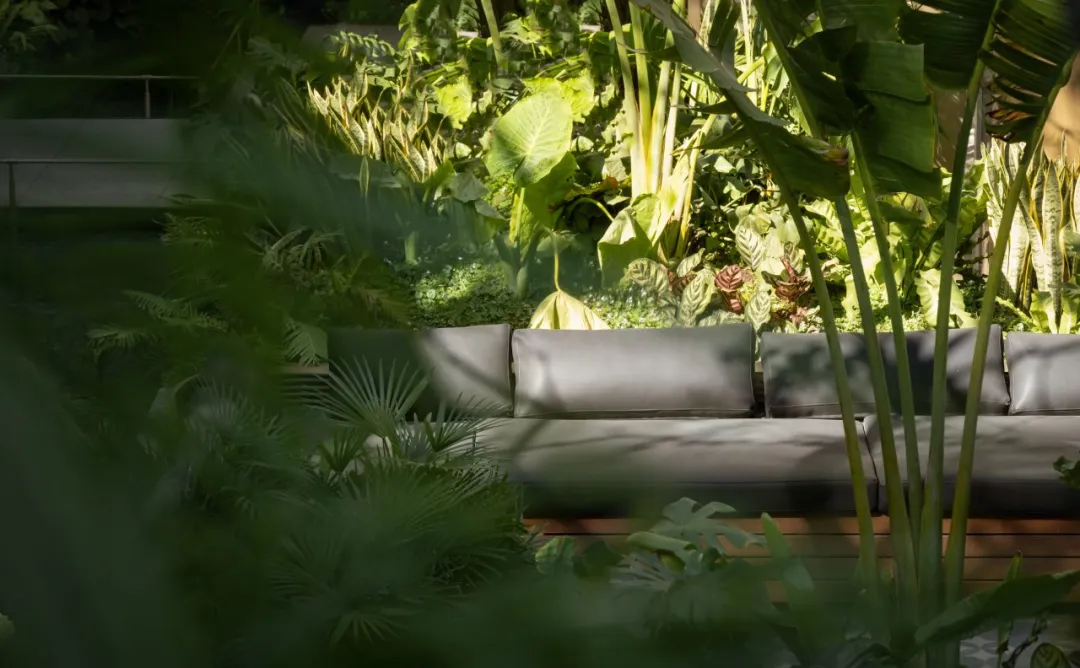 1735267120786585.jpg 1735267093125.jpg