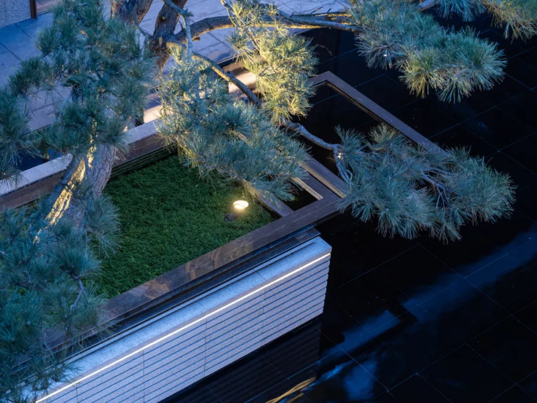 1735270746148151.jpg 1735270734881.jpg