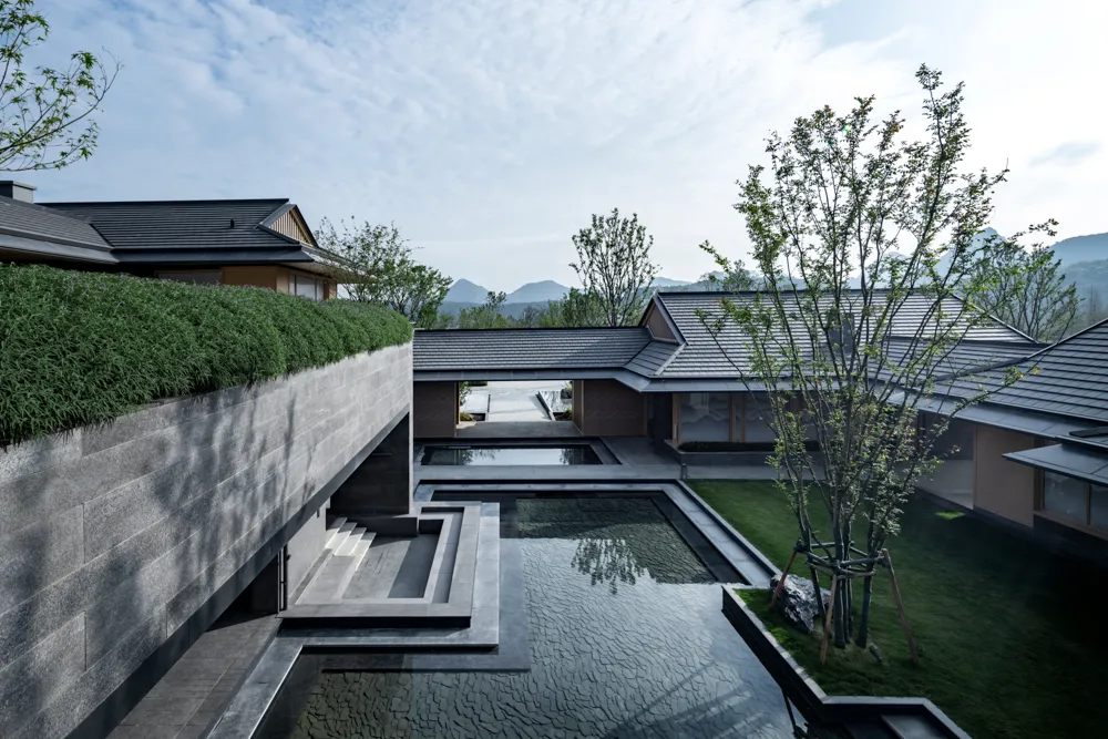 1735609567783066.jpg 1735609559053.jpg