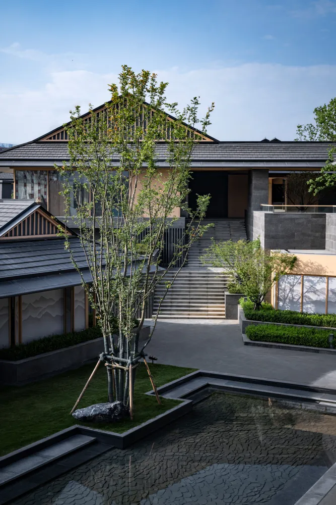 1735609571210489.jpg 1735609563478.jpg