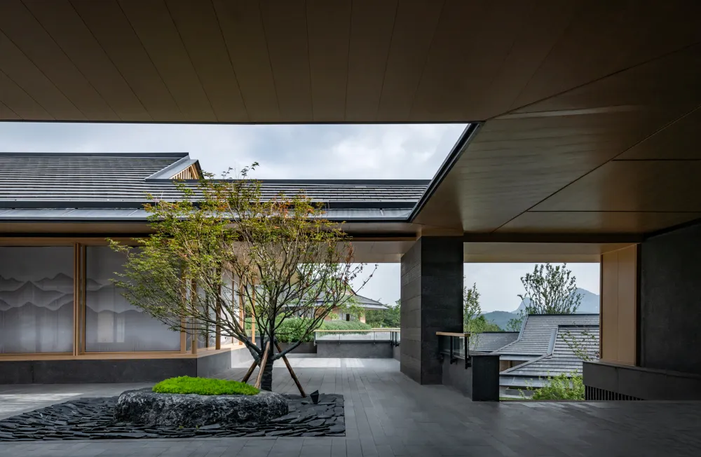 1735609590839461.jpg 1735609578363.jpg