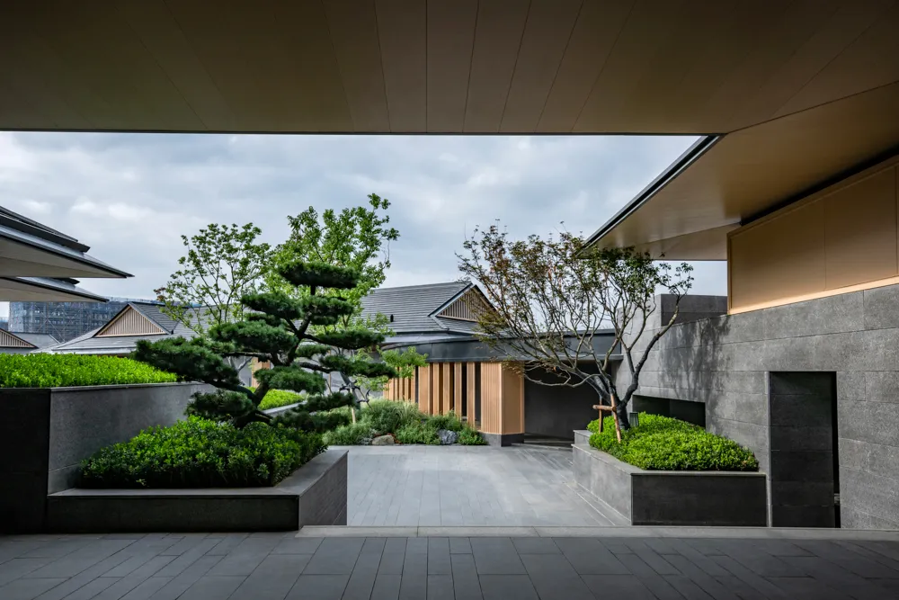 1735609595121678.jpg 1735609580199.jpg