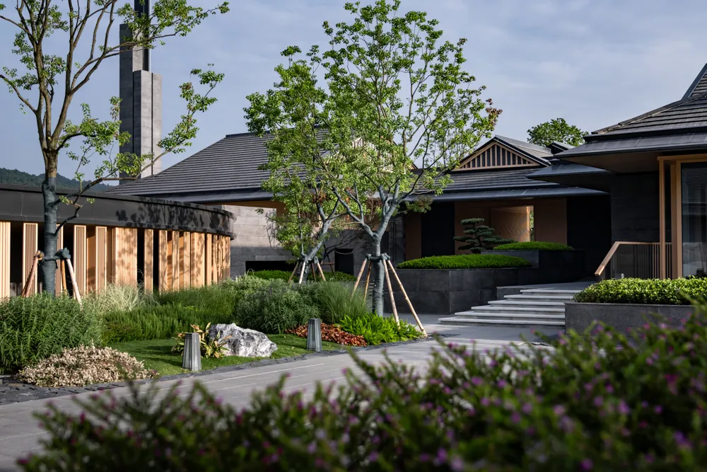 1735609614115333.jpg 1735609601597.jpg