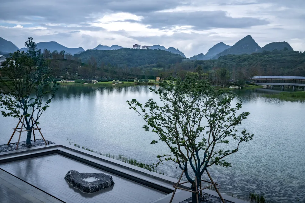 1735609649923012.jpg 1735609634138.jpg