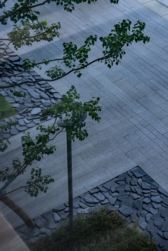 1735609653185983.jpg 1735609636324.jpg