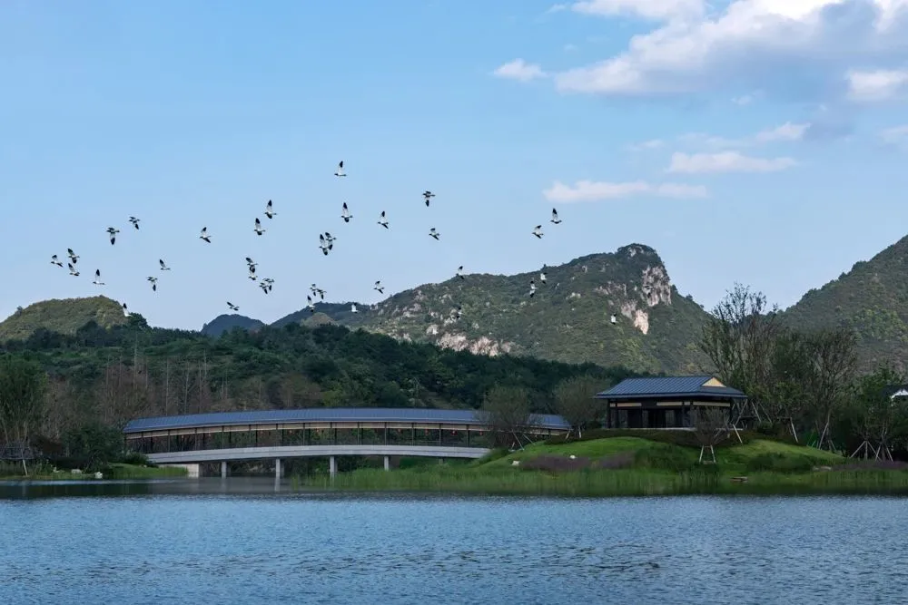 1735609677676133.jpg 1735609667017.jpg