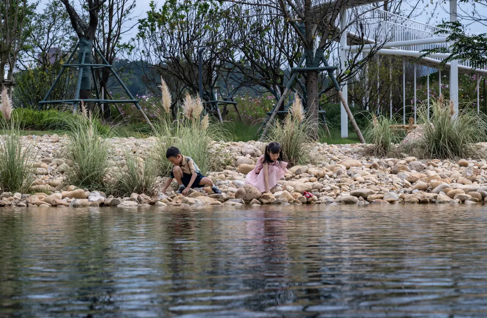 1735609761135654.jpg 1735609746103.jpg