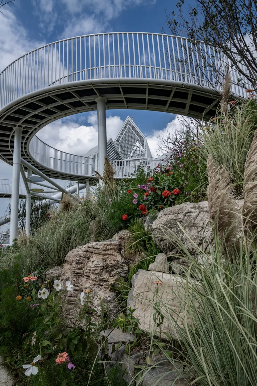 1735609766129138.jpg 1735609749883.jpg