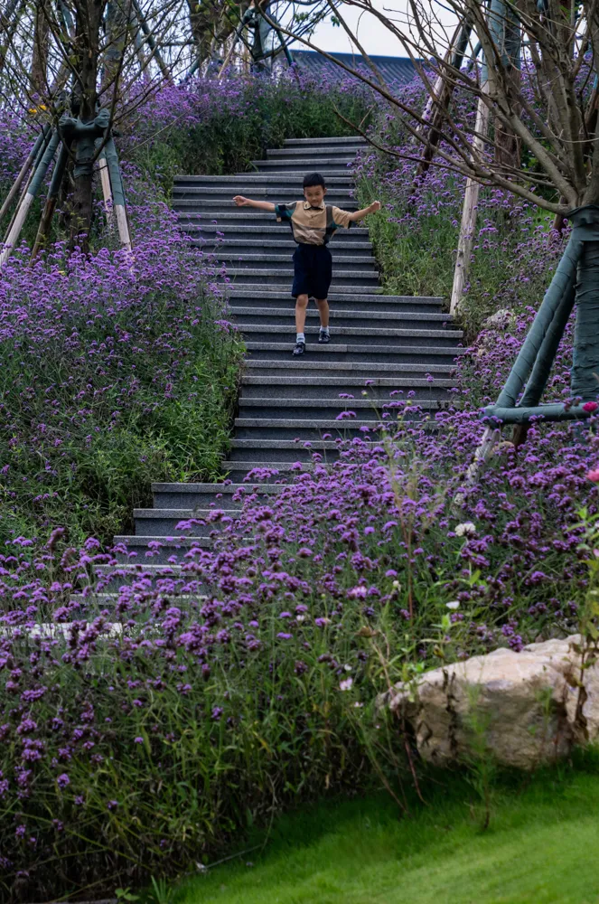 1735609840160725.jpg 1735609821966.jpg