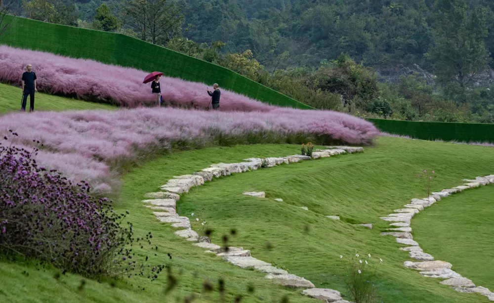 1735609863841453.jpg 1735609851999.jpg