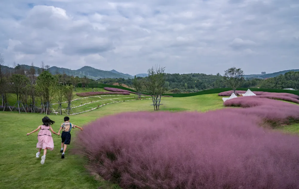 1735609868811493.jpg 1735609854915.jpg