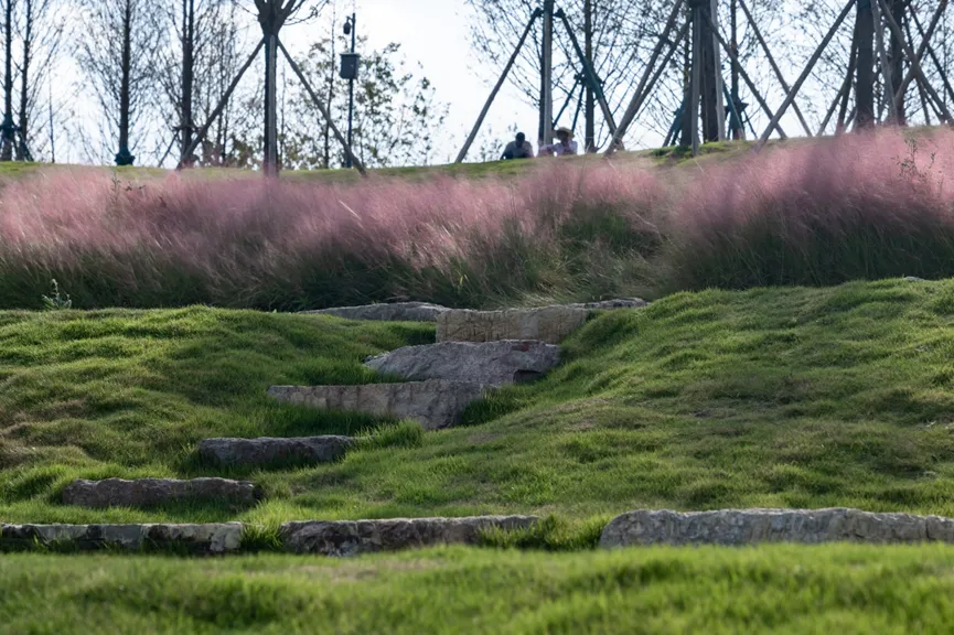 1735609873208381.jpg 1735609857069.jpg