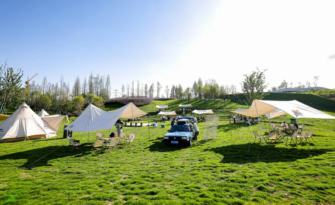 1735609904208326.jpg 1735609882002.jpg