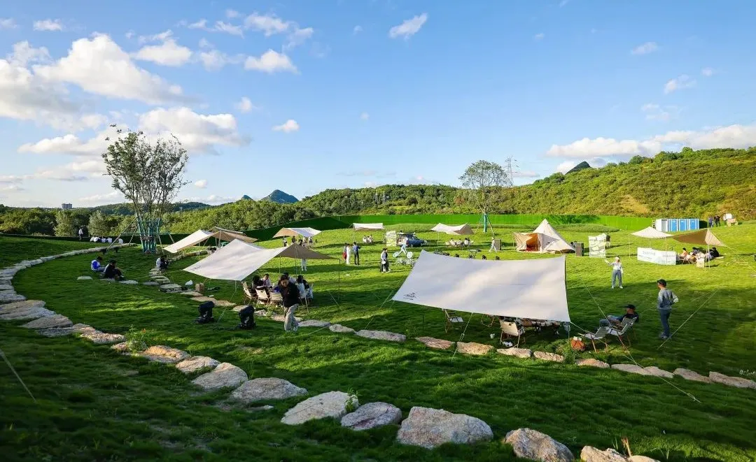 1735609909901048.jpg 1735609885532.jpg