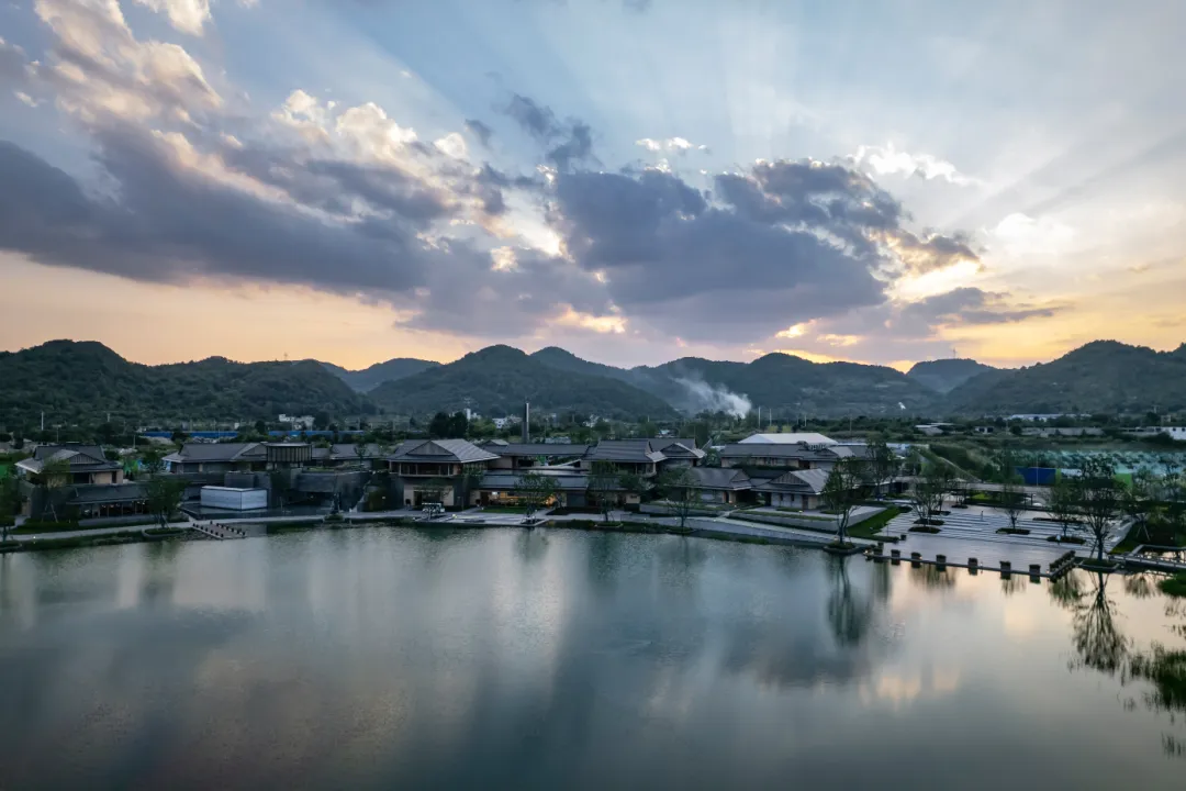 1735609992282226.jpg 1735609985451.jpg