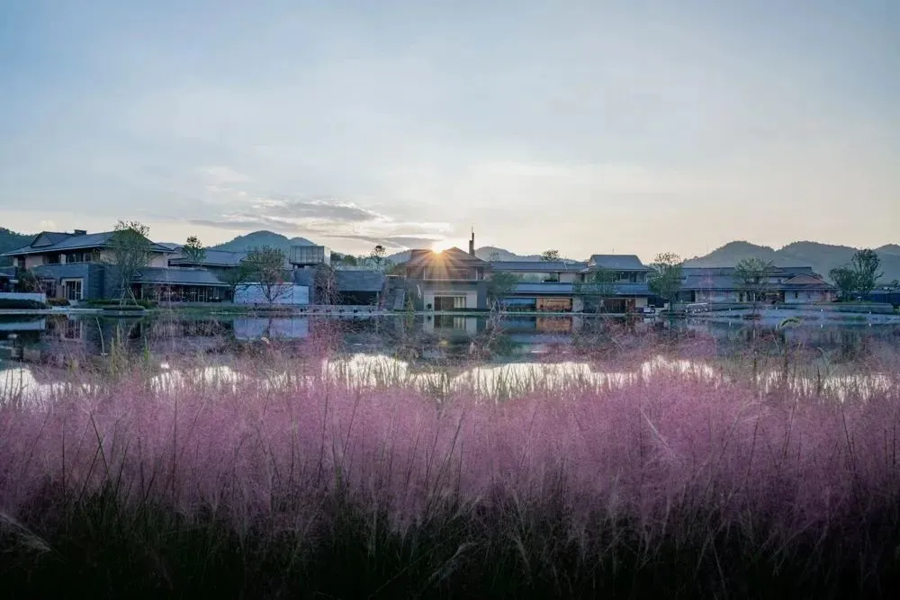 1735610094509271.jpg 1735610083373.jpg