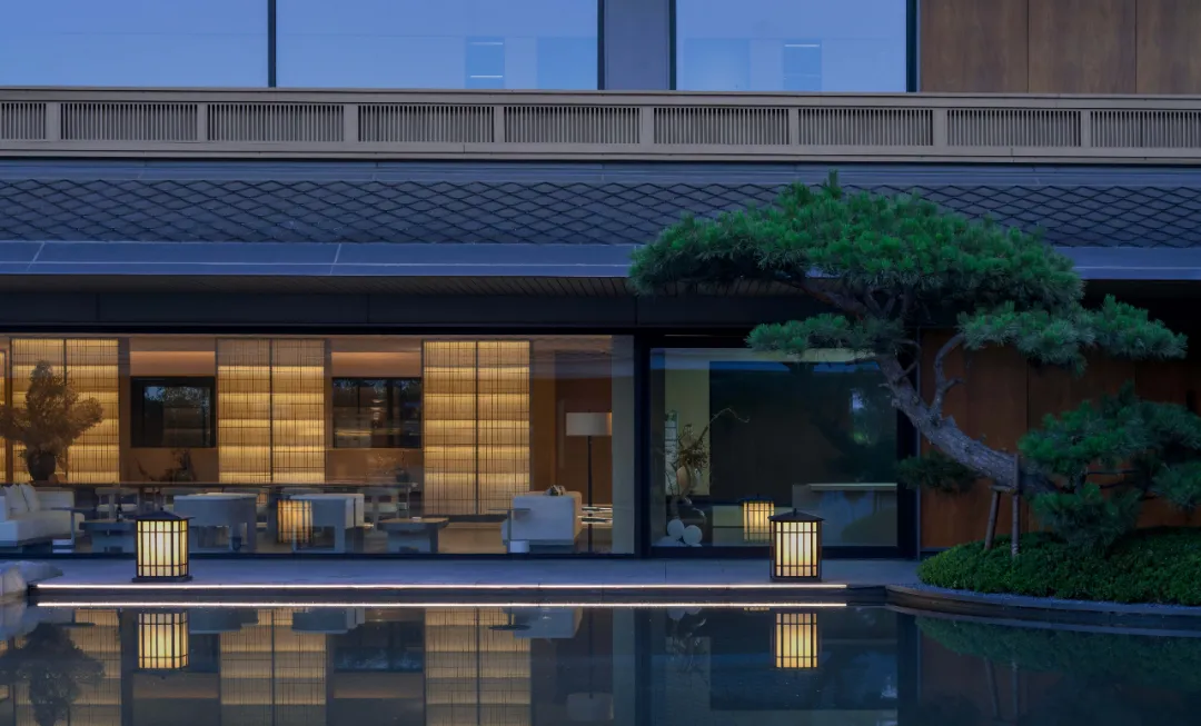 1735611364122686.jpg 1735611352751.jpg