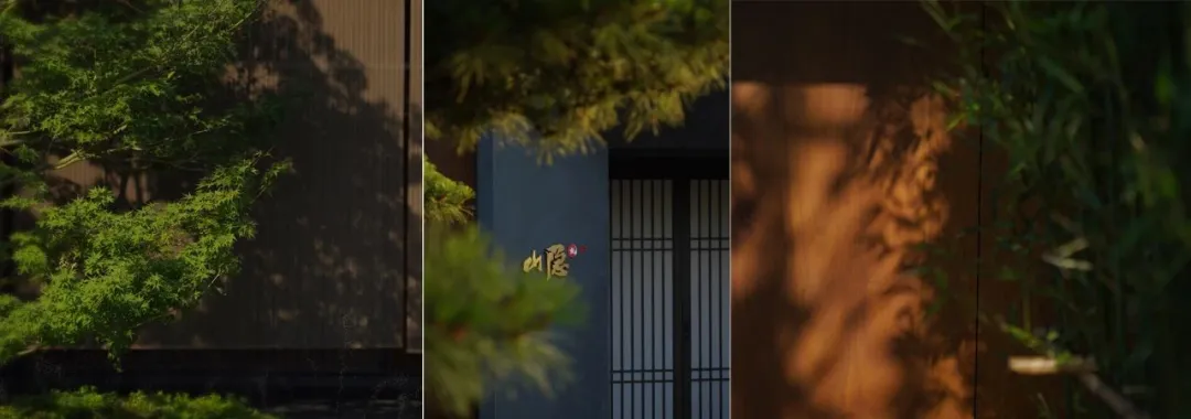 1735611407171140.jpg 1735611399148.jpg