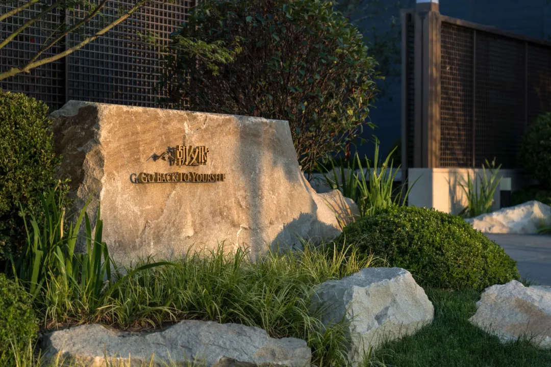 1735611446144223.jpg 1735611438143.jpg