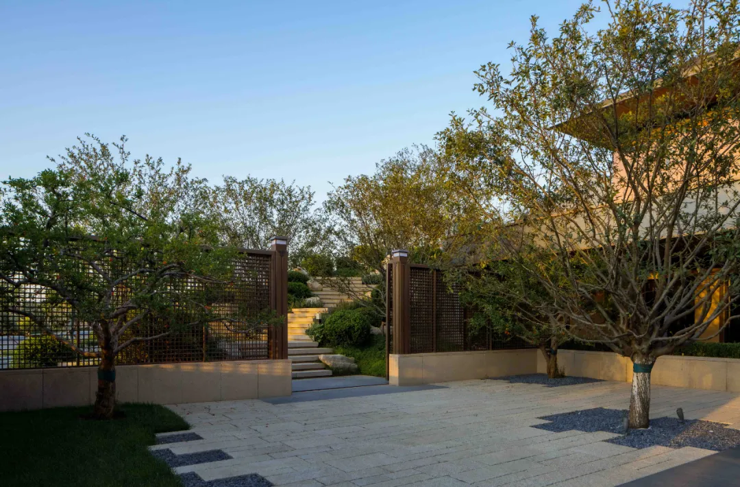 1735611474216714.jpg 1735611459953.jpg