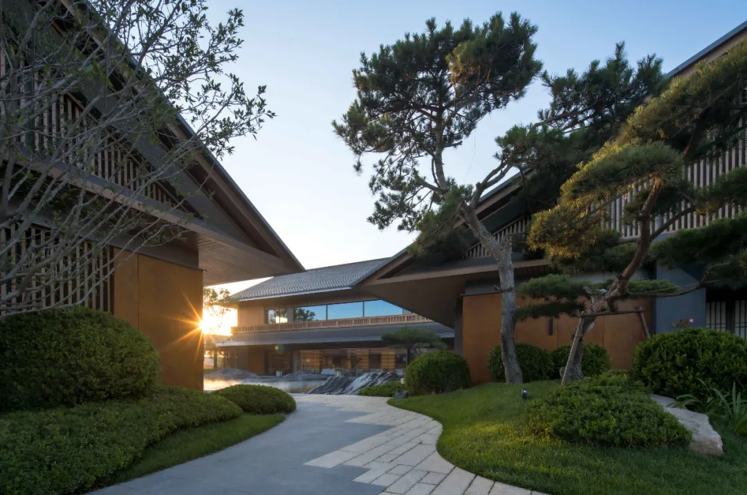 1735611478693694.jpg 1735611461793.jpg