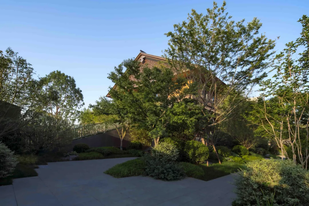 1735611484184992.jpg 1735611468094.jpg