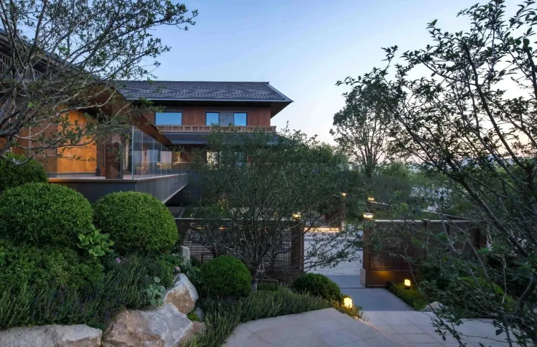 1735611556210086.jpg 1735611546389.jpg