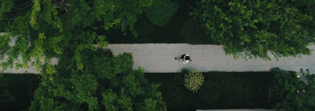 1735611570650076.jpg 1735611551982.jpg