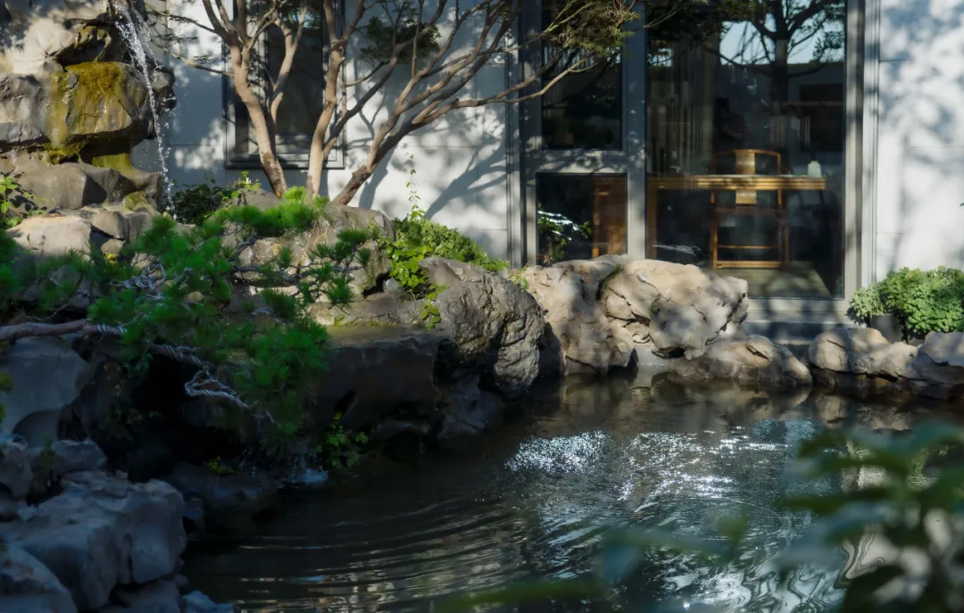 1735611584670661.jpg 1735611580768.jpg