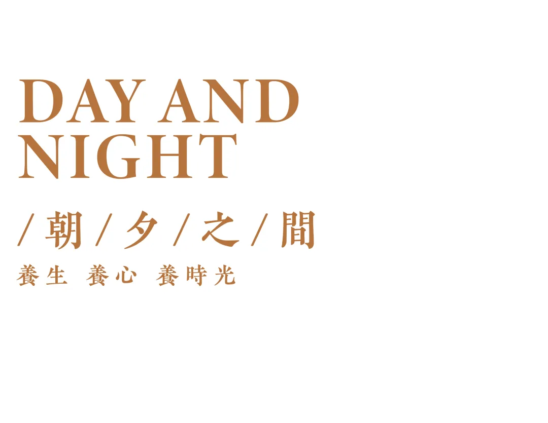 1735611613108266.jpg 1735611610955.jpg