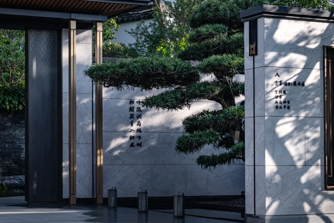 1735613169149295.jpg 1735613156296.jpg