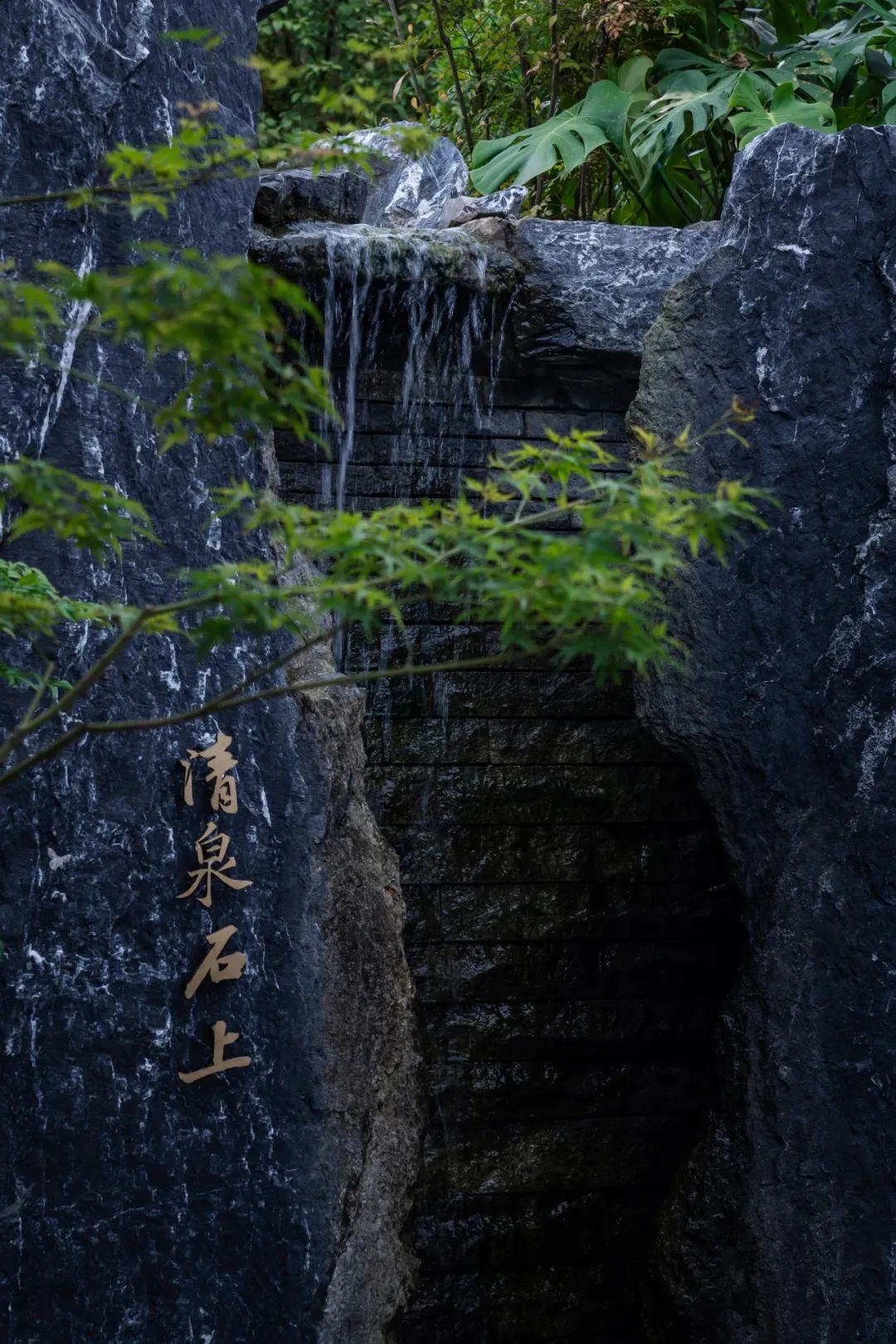 1735613216978469.jpg 1735613204864.jpg