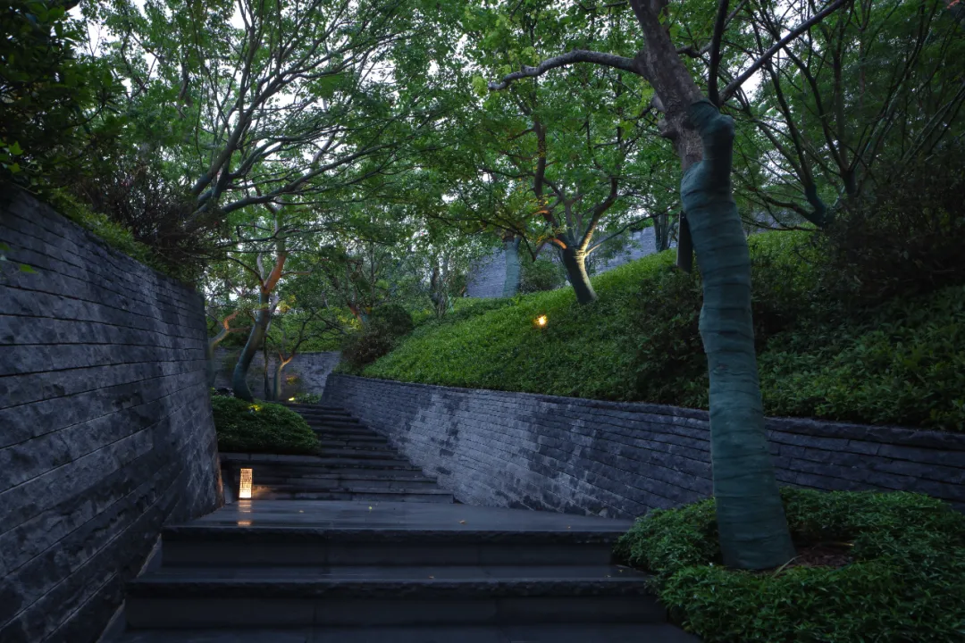 1735613277632320.jpg 1735613270224.jpg