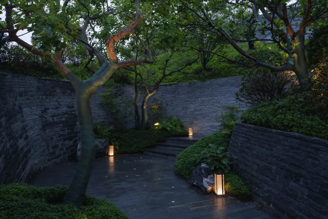 1735613281125211.jpg 1735613272102.jpg