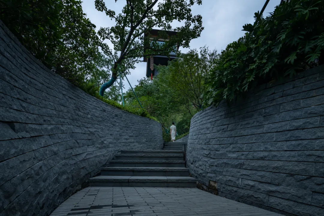 1735613310208776.jpg 1735613299528.jpg