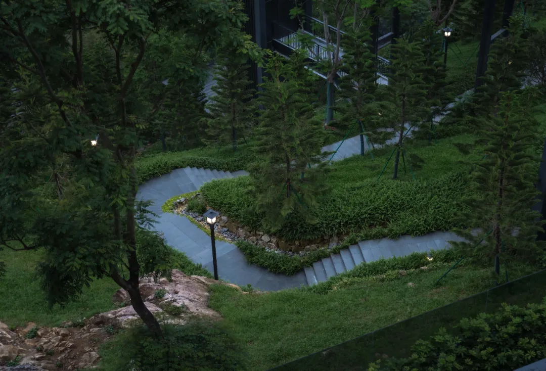 1735613374195511.jpg 1735613354420.jpg