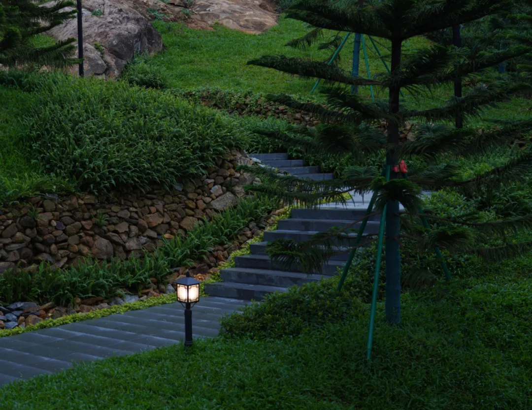 1735613378127293.jpg 1735613356364.jpg