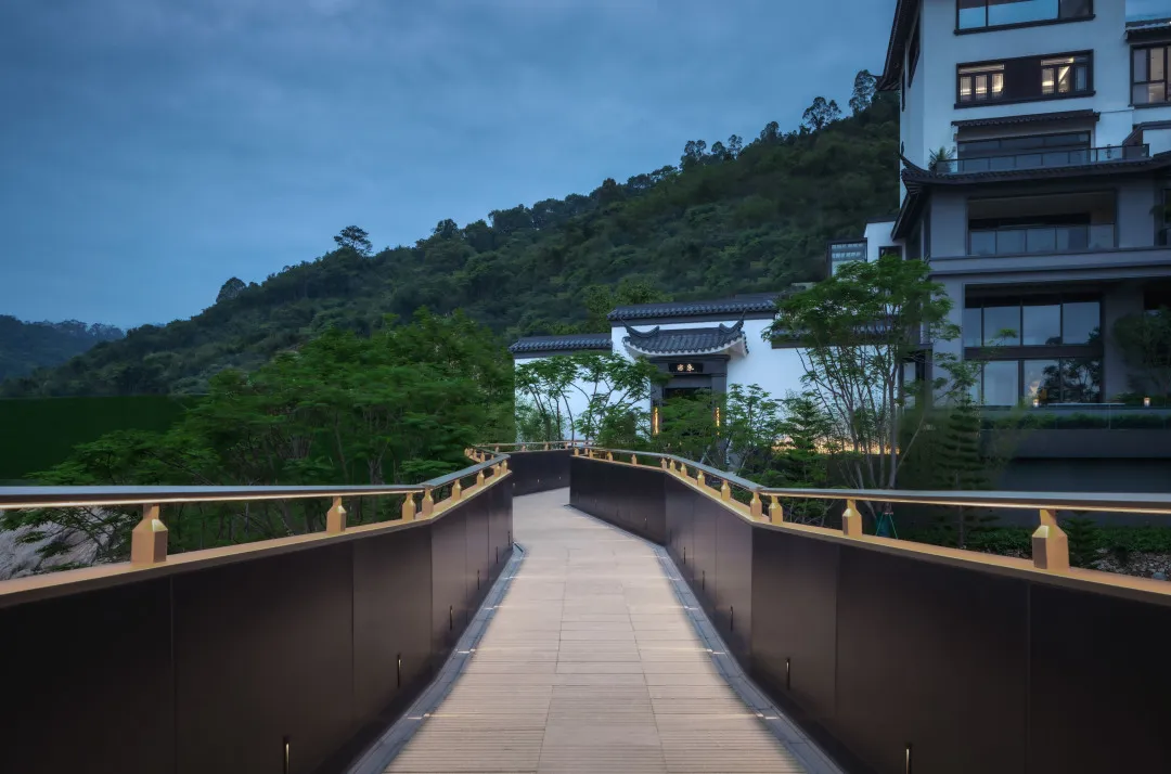 1735613510553486.jpg 1735613507300.jpg