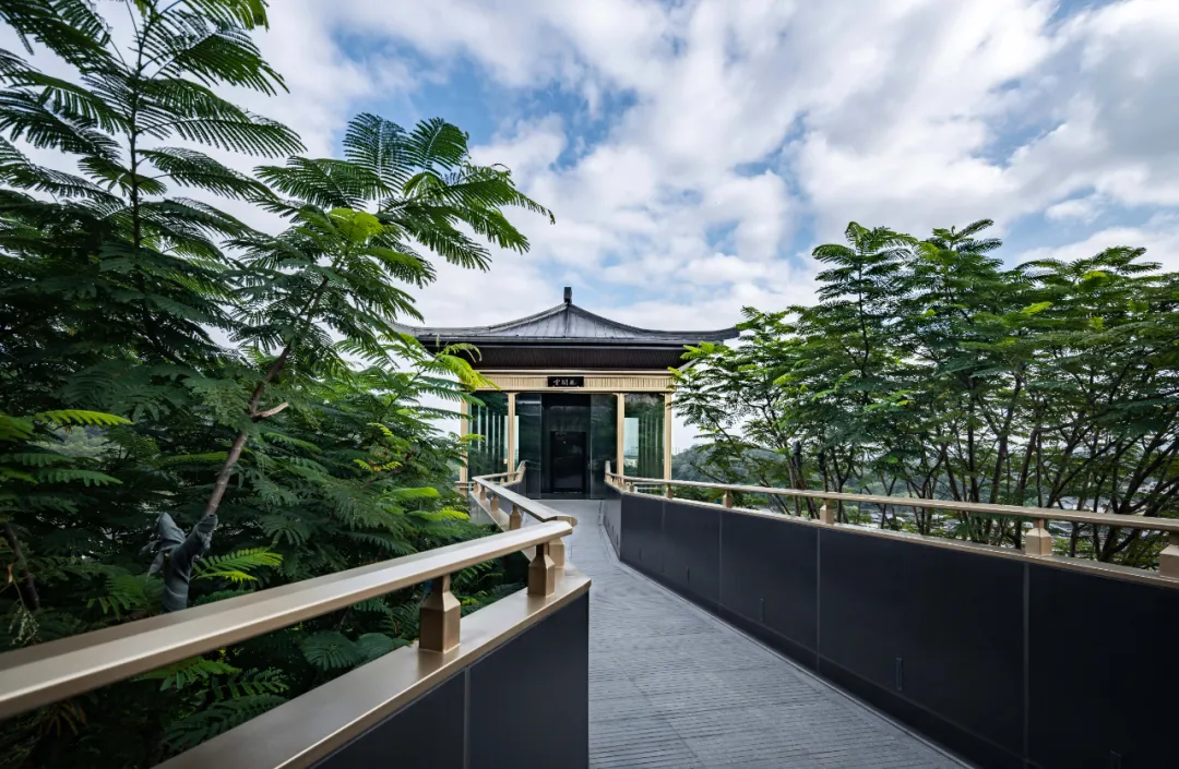 1735613529320658.jpg 1735613522317.jpg