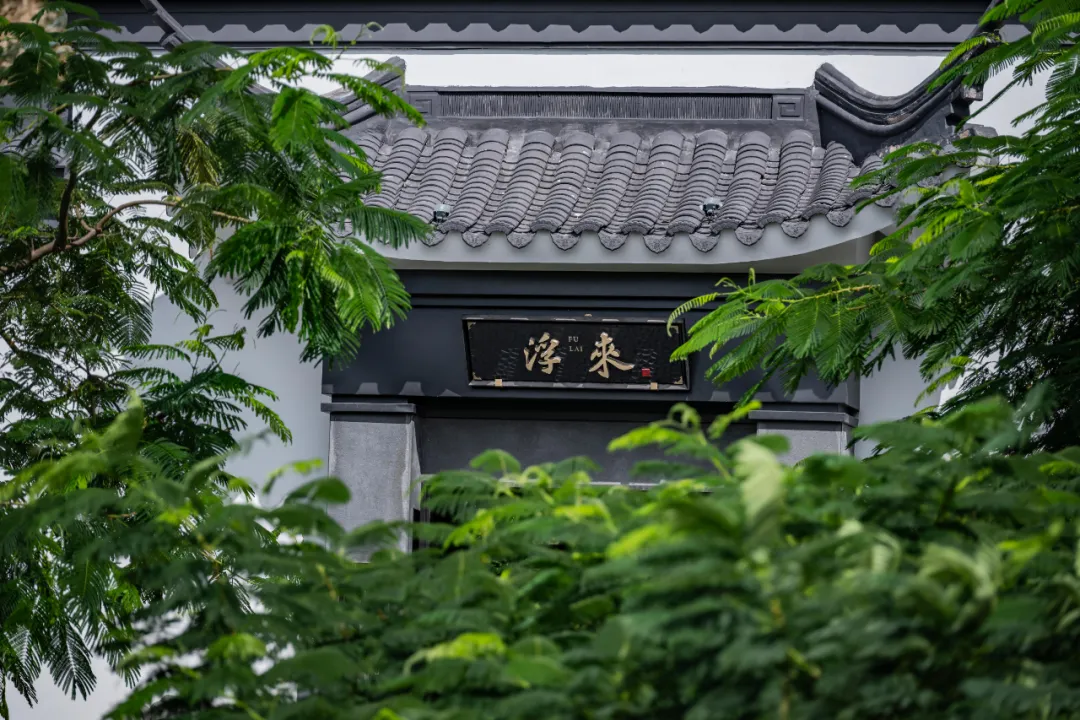 1735613701681111.jpg 1735613687439.jpg