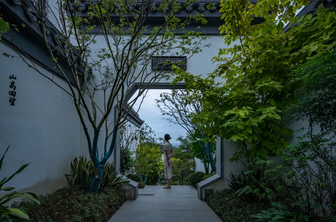 1735613739315313.jpg 1735613735656.jpg