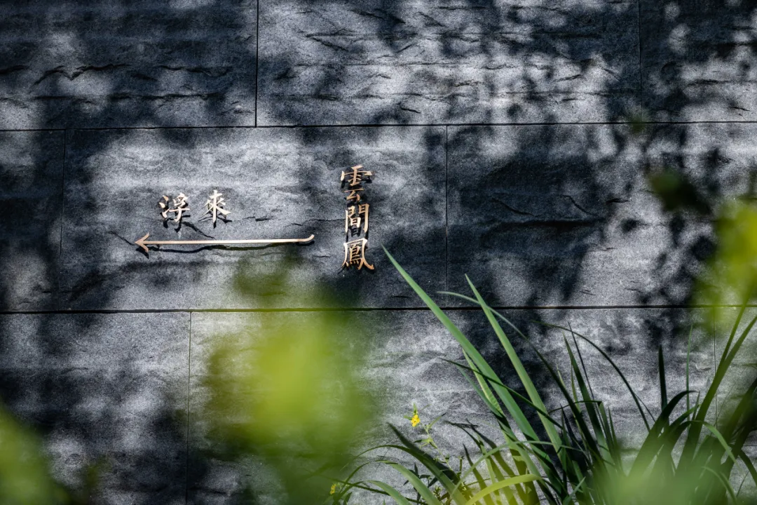 1735613906671920.jpg 1735613892159.jpg