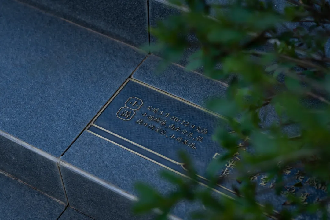 1735613922669241.jpg 1735613918481.jpg