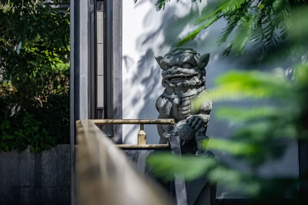 1735613937557420.jpg 1735613933799.jpg