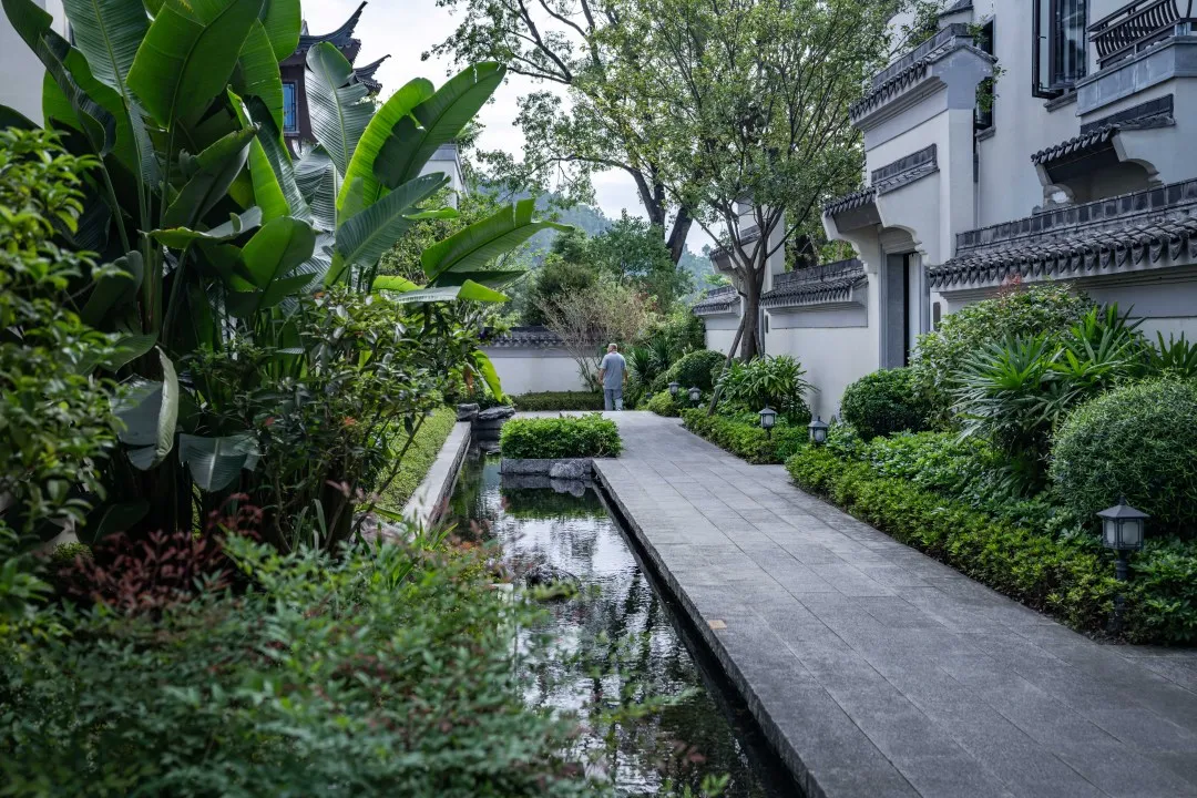 1735613996158049.jpg 1735613975578.jpg